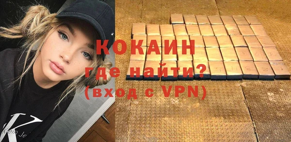 PSILOCYBIN Майский
