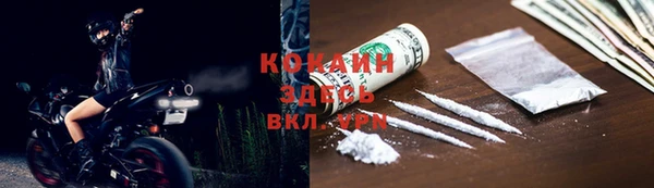 PSILOCYBIN Майский