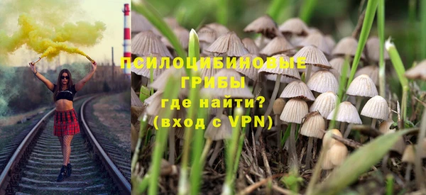 PSILOCYBIN Майский