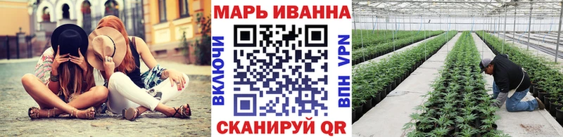 Купить  Спасск-Дальний  Каннабис сатива 